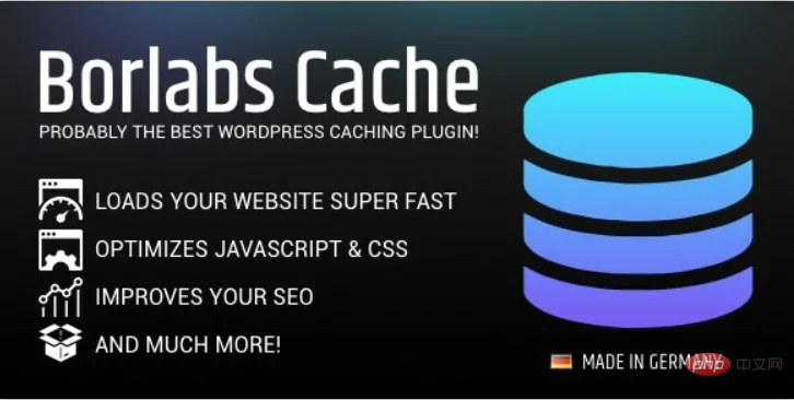 Quel type de cache WordPress utilise-t-il ?