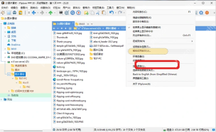 XYplorer 帮助菜单中选中界面语言入口。