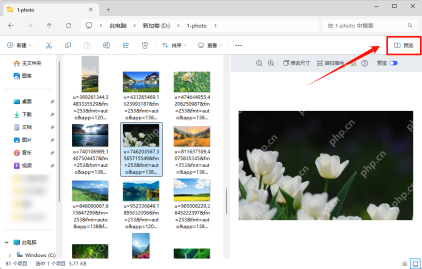 Win11 文件资源管理器右上角预览开关