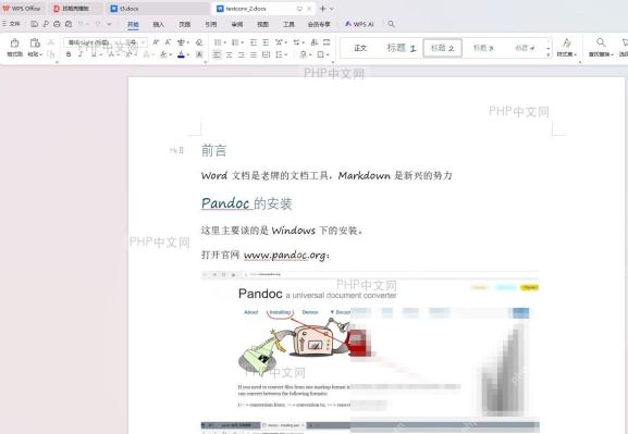 打开 Pandoc 输出的 PDF 检查排版