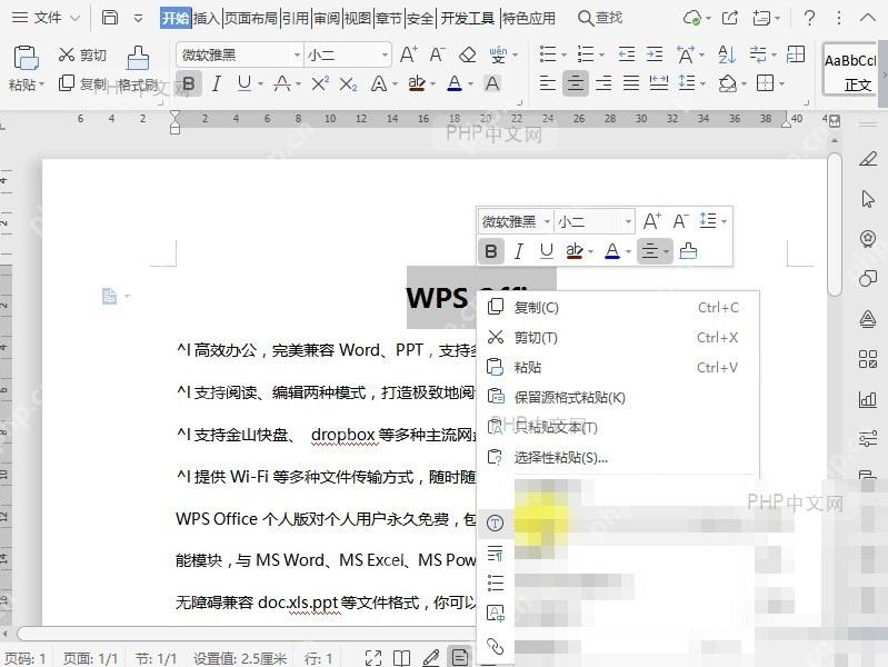 Word如何将文档中的字母调整为小型大写字母?入口位置