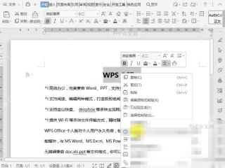 Word如何将文档中的字母调整为小型大写字母?入口位置