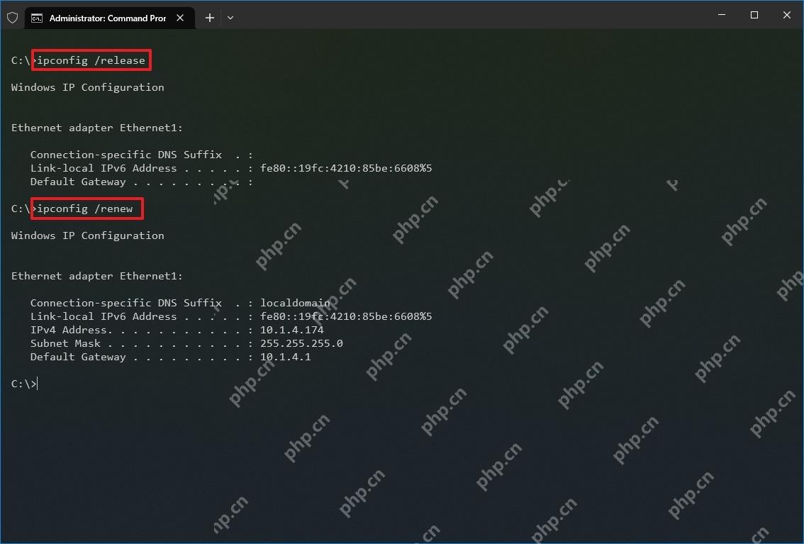 Windows 11 让 DHCP 客户端重新获取地址的真实界面截图