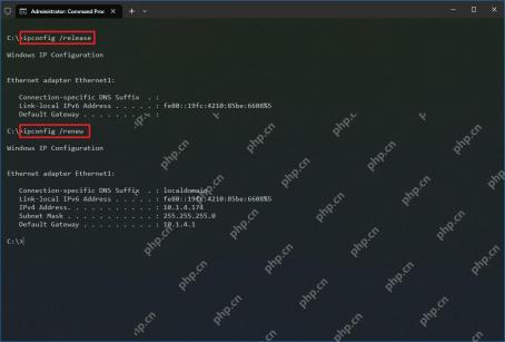 Windows 11 让 DHCP 客户端重新获取地址的真实界面截图
