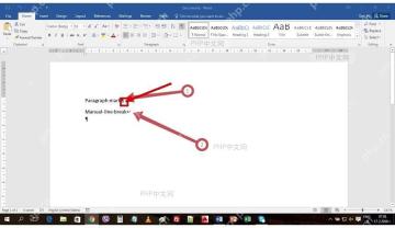Word 文档段落结尾的回车符段落标记被标出