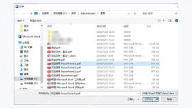 用Microsoft Word修改大段文字:选择要修改的PDF