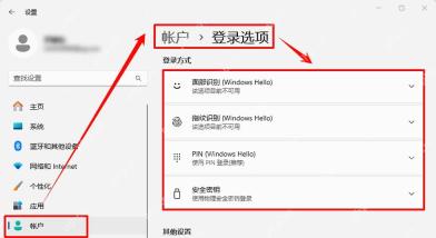 Win11设置帐户登录选项页面显示Windows Hello面部识别入口