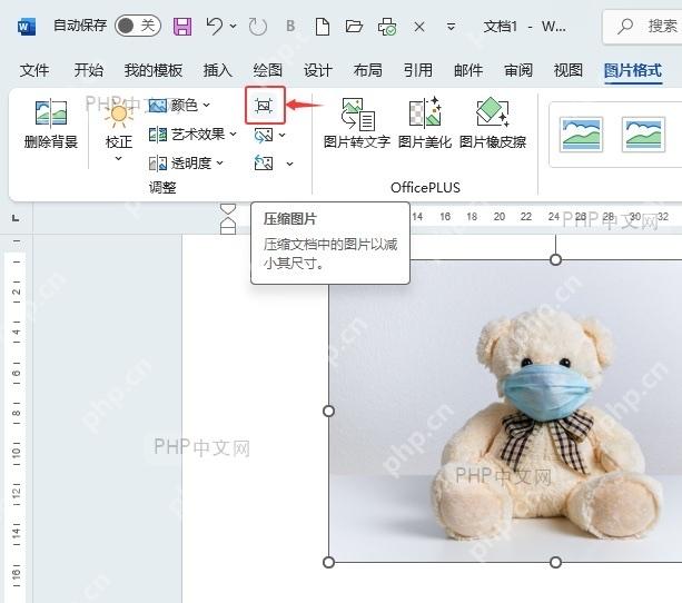 Word 图片格式选项卡中压缩图片按钮被标出