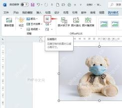 Word 图片格式选项卡中压缩图片按钮被标出