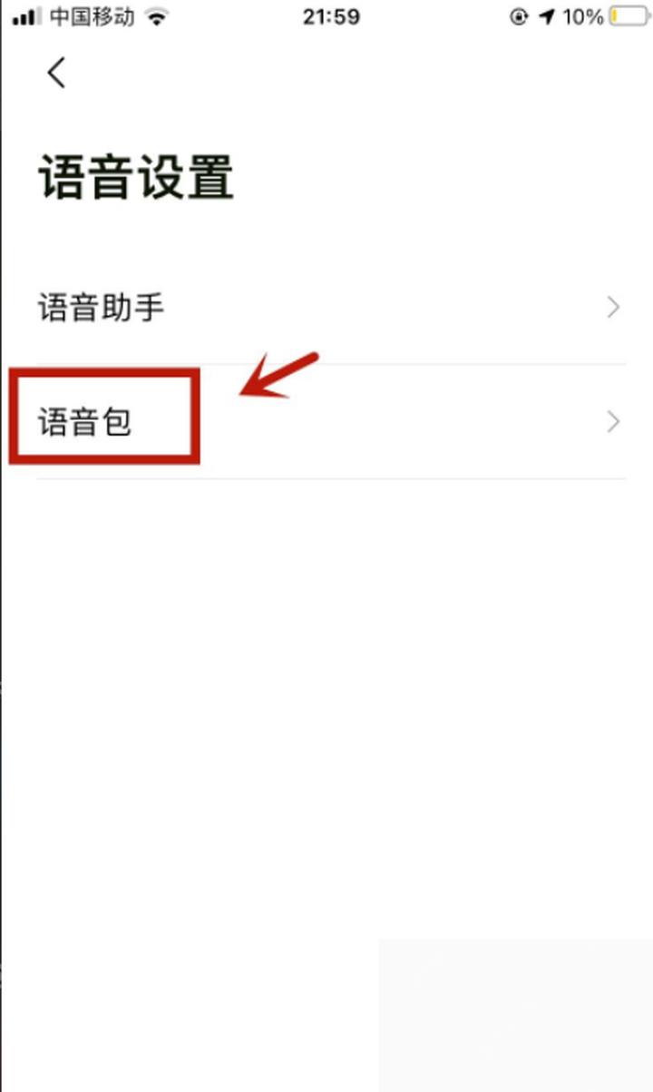 高德地图语音设置中的语音包入口