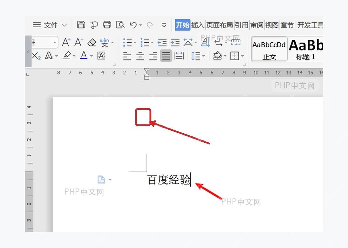 WPS 文档正文中段落结尾标记的验证画面