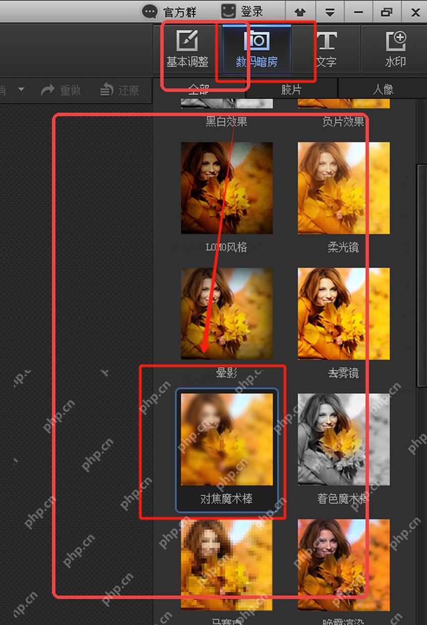 顶部数码暗房入口和效果预设列表