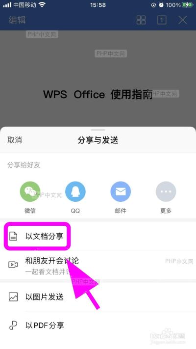 手机 WPS 分享面板中的以文档分享入口，用于切换到文件附件发送方式
