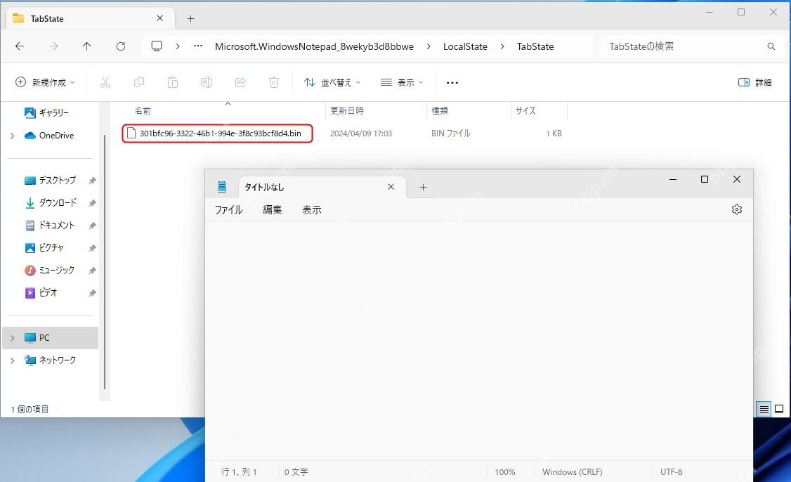 Win11 文件资源管理器打开 Notepad 的 LocalState TabState 会话文件夹