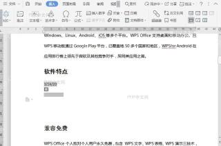 WPS如何文档窗体域属性?结果检查