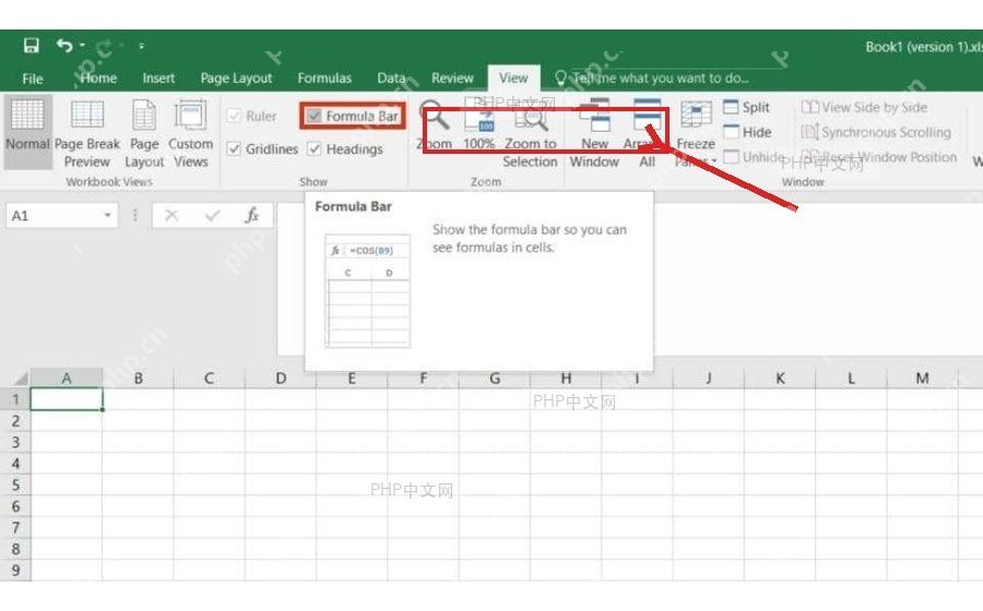 Excel 视图选项卡中 Formula Bar 复选框已勾选，工作表上方保留 fx 编辑栏
