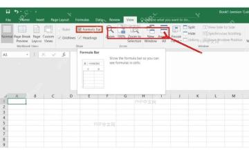 Excel 视图选项卡中 Formula Bar 复选框已勾选,工作表上方保留 fx 编辑栏