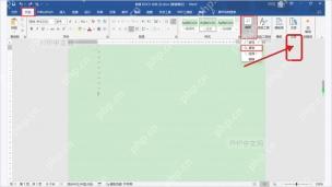 Word开始选项卡中显示隐藏编辑标记按钮用于查看分节符