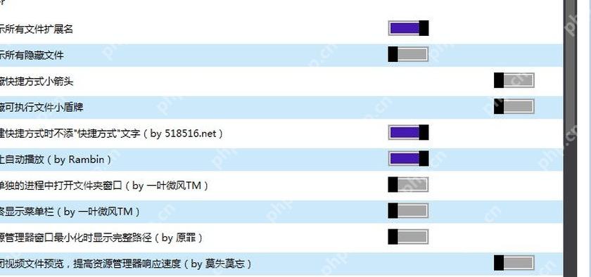 Dism++ Explorer 列表中显示资源管理器菜单、预览和显示相关开关