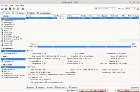 qBittorrent 主窗口底部 DHT 节点和连接状态区域