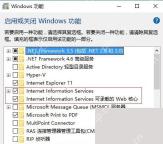 Win10 Windows 功能中勾选 IIS