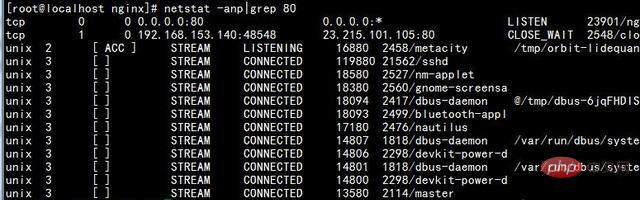 How to check if nginx port is occupied