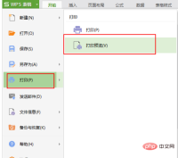 How to resize print preview