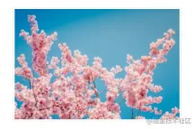 1637321247784978.png 聊聊Bootstrap中的圖片組件和輪廓組件