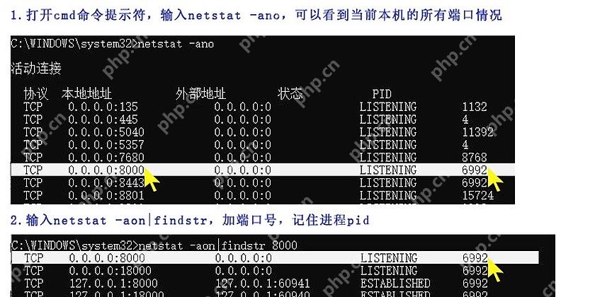 Windows 10 使用 netstat 和 findstr 筛选指定端口