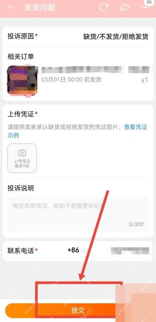 淘宝投诉表单页面底部的提交按钮