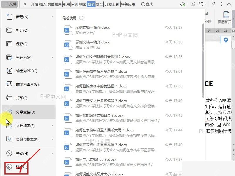 WPS 文件菜单底部的选项入口,用于打开设置窗口