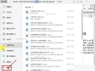 WPS 文件菜单底部的选项入口,用于打开设置窗口