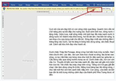 Word 受保护视图黄色提示条中的启用编辑按钮，用于临时取消只读