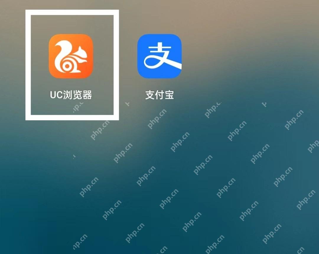 UC浏览器怎么使用浏览器截图:UC 浏览器底部菜单入口被标出