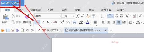 WPS 文字左上角菜单入口,服务于打开文件设置步骤
