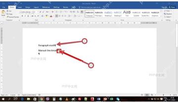 Word 文档行尾的手动换行符弯箭头被标出