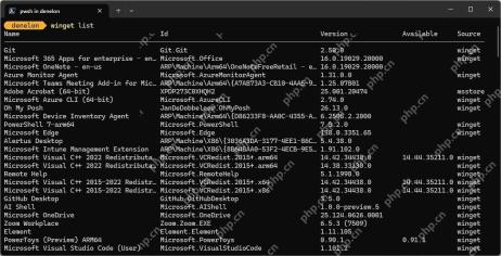 Win11 PowerShell 运行 winget list 显示已安装程序 ID 和 Source