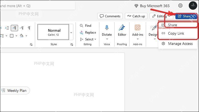 Word右上角Share按钮和共享菜单入口