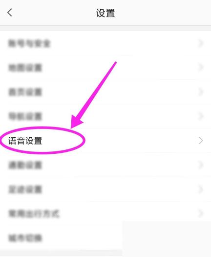 高德地图设置列表中的语音设置