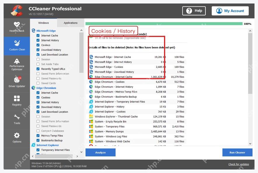 CCleaner 分析结果中的 Cookies History 和缓存条目