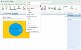 OneNote 右键菜单中的 Copy Text from Picture 选项