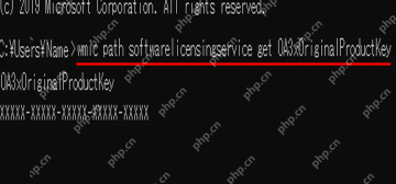 Win10 OA3xOriginalProductKey 输出 OEM 代码结果