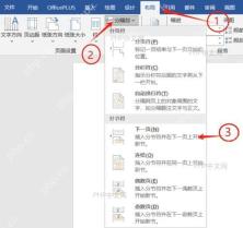 在 Word 中选中需要单独设置纸张方向的页面内容