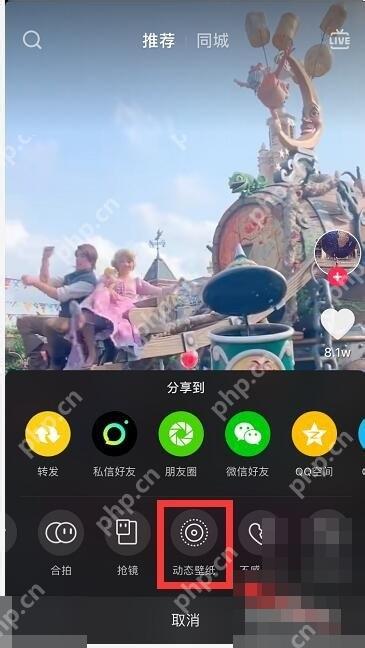 抖音怎么把视频设为手机动态壁纸:抖音分享面板里的动态壁纸入口。