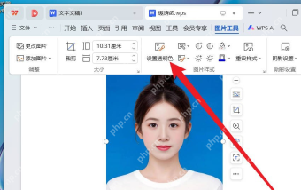 WPS文字图片工具中使用设置透明色处理证件照背景