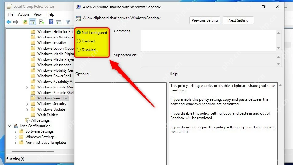Windows 11 本地组策略中允许与 Windows Sandbox 共享剪贴板