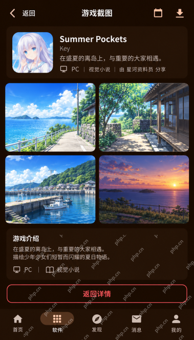 鹿谷社区游戏资源界面：怎么放大查看游戏截图？