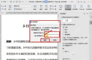 WPS 启动保护窗口中输入并确认保护密码