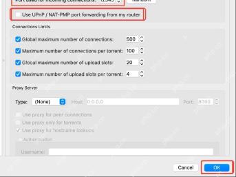 qBittorrent 的 UPnP NAT-PMP 自动端口映射选项
