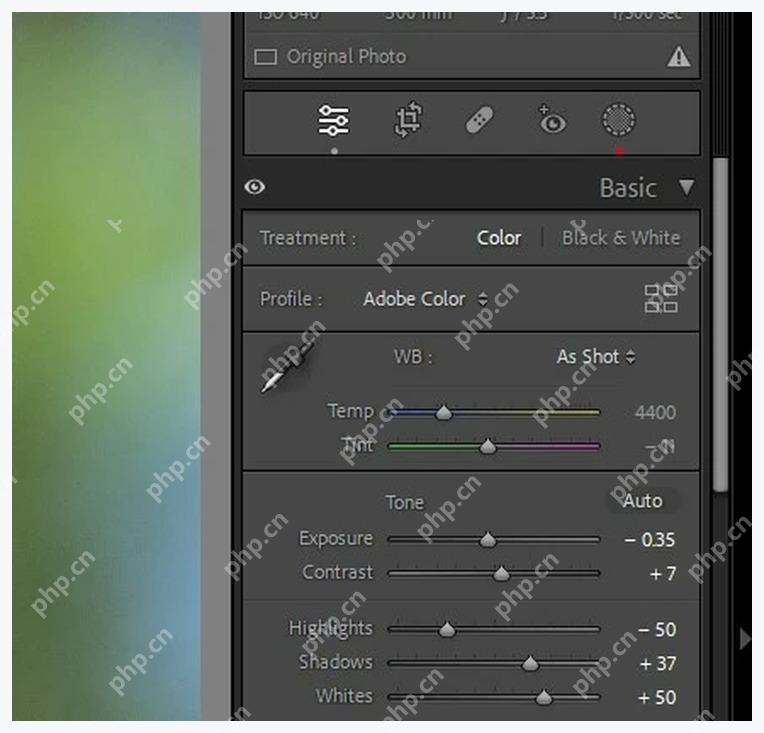 Lightroom Classic Basic 面板中 Exposure、Contrast、Highlights 和 Shadows 滑块